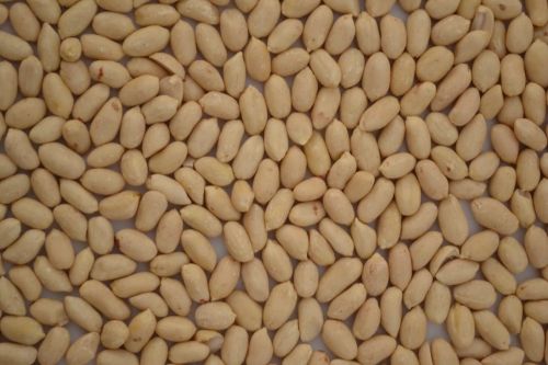 Blanched Peanuts for Snack, Ingredient