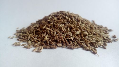 Cuminum Cyminum Cumin Seeds