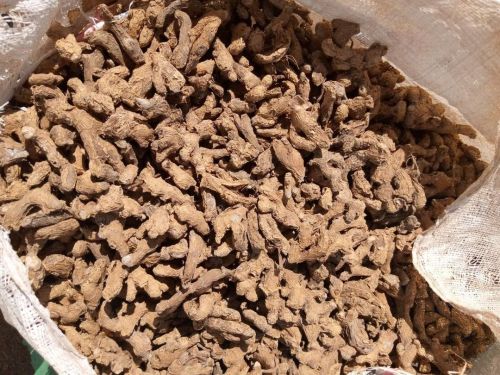 Dry Ginger for Cooking, Sauces, Marinades, Tea
