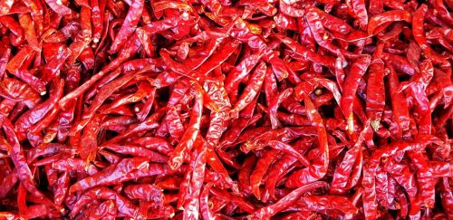 Dry Red Chilli for Cooking, Seasoning