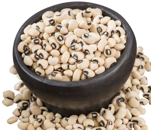 Cowpea Small To Medium for Planting Consumption