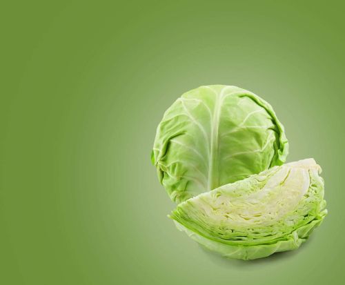 Fresh Cabbage, Color : Green Medium To Large