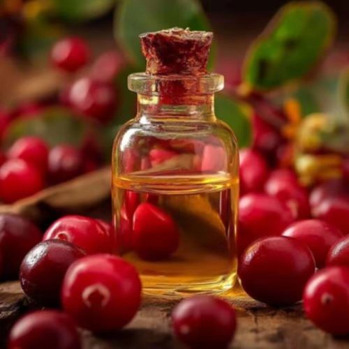 Sweet Cherry Kernel Oil, Color : Pale Yellow