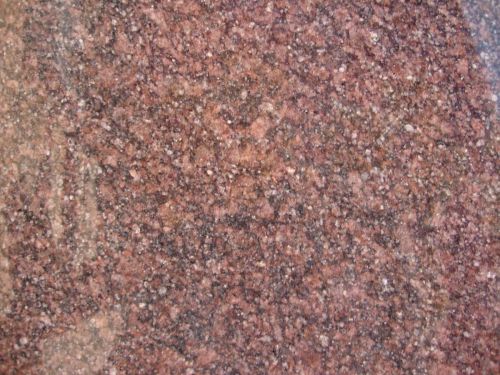 Natural Stone Forest Brown Granite, Thickness : 20mm, 30mm