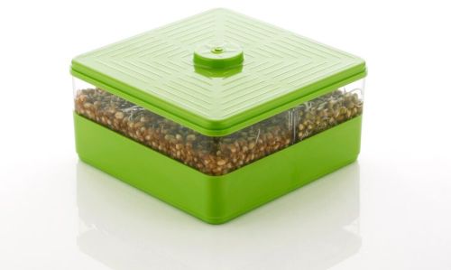 Food-grade Plastic Premium Sprout Maker 1 Line, Shape : Rectangular