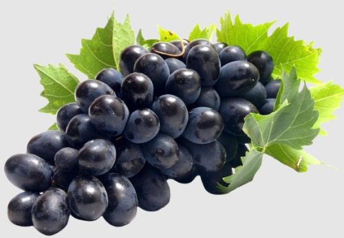 Fresh Grapes, Packaging Type : Carton