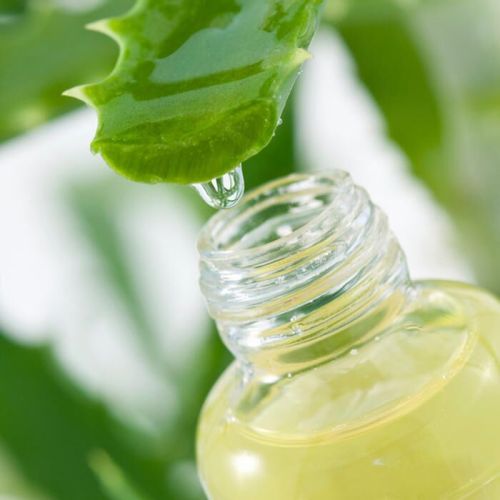 Aloe Vera Extract, Form : Liquid Form