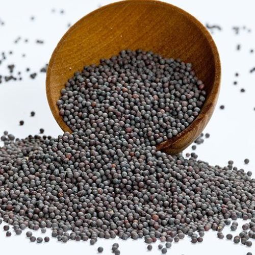Mustard Seeds Black, Purity : 100%