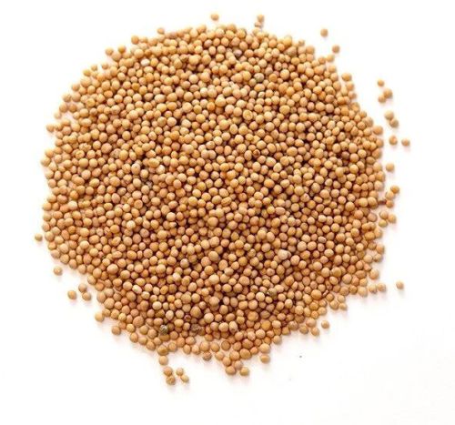 Mustard Seeds Yellow for Cooking