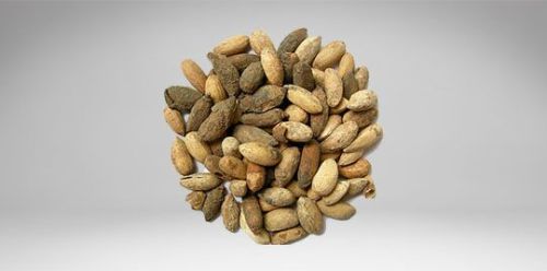 Neem Seeds, Color : Brown