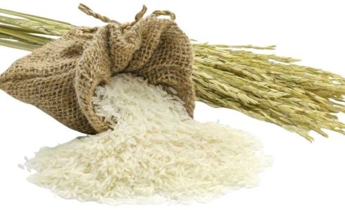 Rice, Length : Long Grain for Staple Food