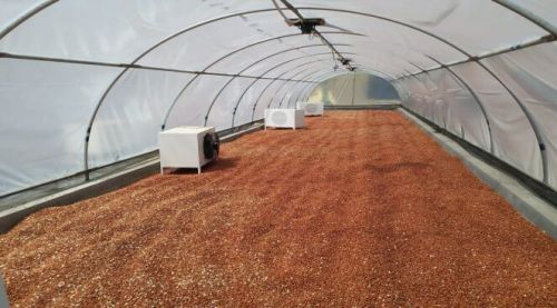 Dehydrator Dryer, Packaging Type : Box for Food Dehydration