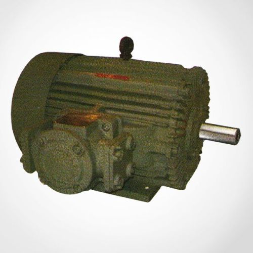 50Hz / 60Hz ± 5% Flame Proof LV Motors