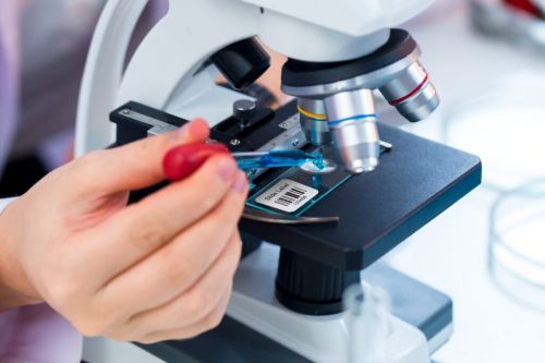 Chemical Resistant Laboratory Label, Color : White