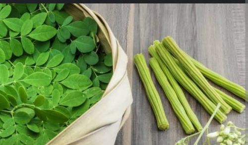 Moringa Leaves, Color : Green for Tea Making, Culinary Purposes
