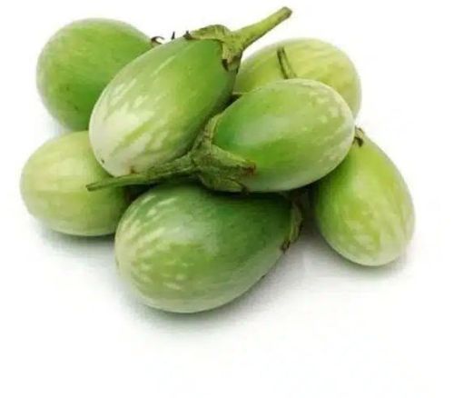 A Grade Fresh Green Brinjal, Packaging Type : Bag for Cooking