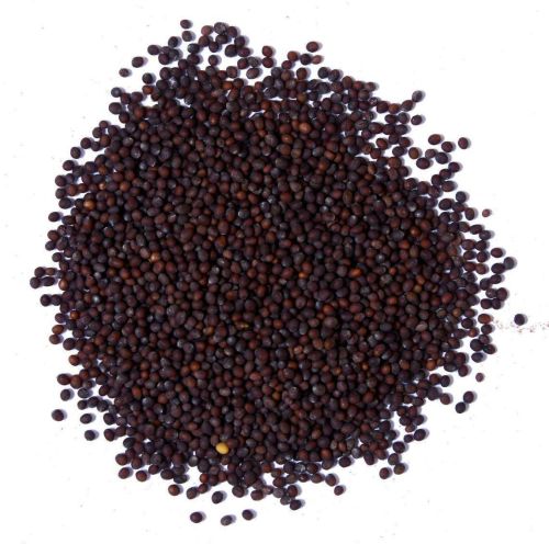 Natural Mustard Seed