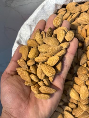 Almonds for Food, Skincare, Body Care, Human Consumption
