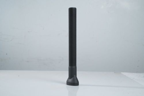 Black Stainless Steel Elliptical Head Bolt