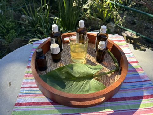 Head Massage Oil, Shelf Life : 18-24 Months