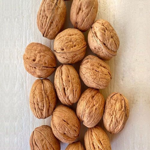 Shelled Walnuts, Color : Brown, Purity : 100%