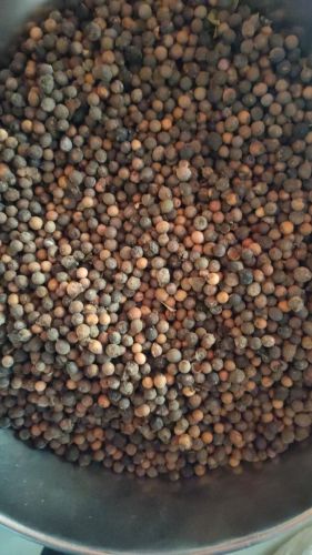 White Sandalwood Seeds Round