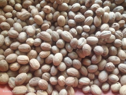 Natural Brown to Dark Brown Nutmeg Jaiphal Food Grade