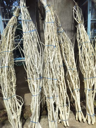 Natural Dried Curly Tree Branch, Color : Beige, Length : 30-40cm