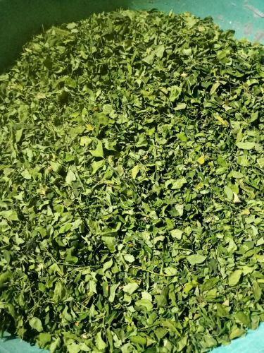 Moringa Leaves, Color : Green