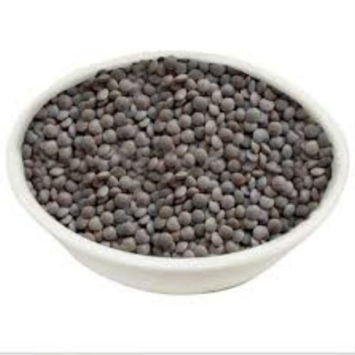 Black Masoor Dal, Packaging Size : 25, 50 Kg, Moisture : Low