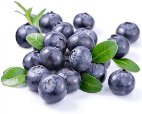 Fresh Premium Blueberry, Taste : Sweet & Tangy