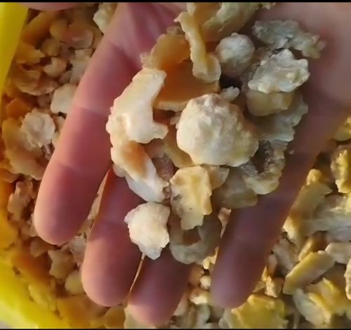 Asafoetida (Uzbeki Nukra Hing), Packaging Size : 50g, 1Kg, 20Kg