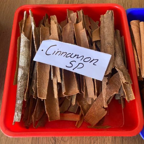 Brown Cinnamon Bark for Cooking, Baking, Aromatherapy
