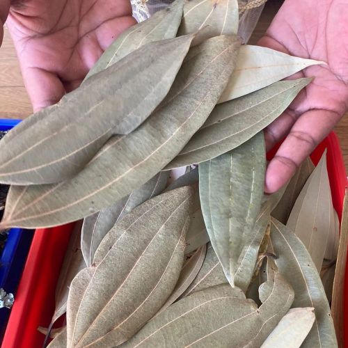 Organic Dried Bay Leaves, Color : Green, Grade : Food Grade