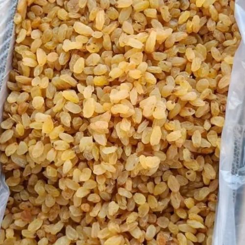 Golden Raisins, Taste : Sweet for Snacking, Baking