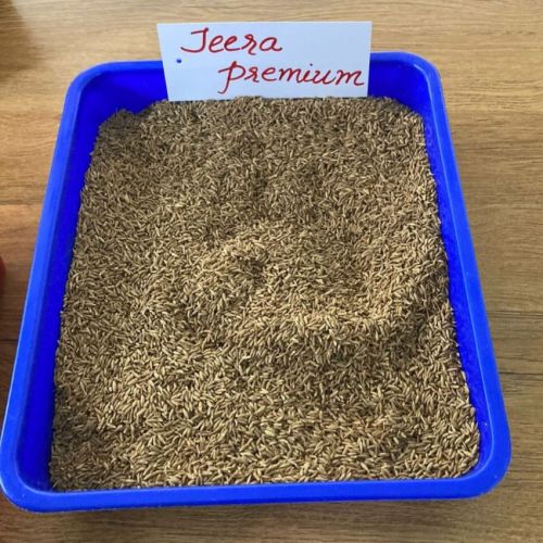 Organic Premium Jeera Seeds Food Grade for Cooking