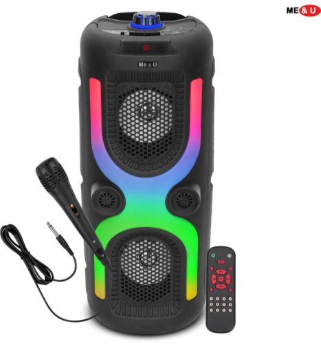 Bluetooth Speaker 12inch for Restaurant, Hotel, Home, Gym