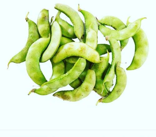 Organic Green Val Papdi Bean, Packaging Type : Vacuum-sealed Bag