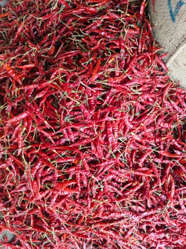 Organic Teja Red Chilli, Packaging Size : 1Kg Food Grade