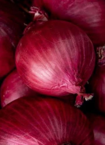 Fresh Red Onion, Taste : Mild Slightly Sweet