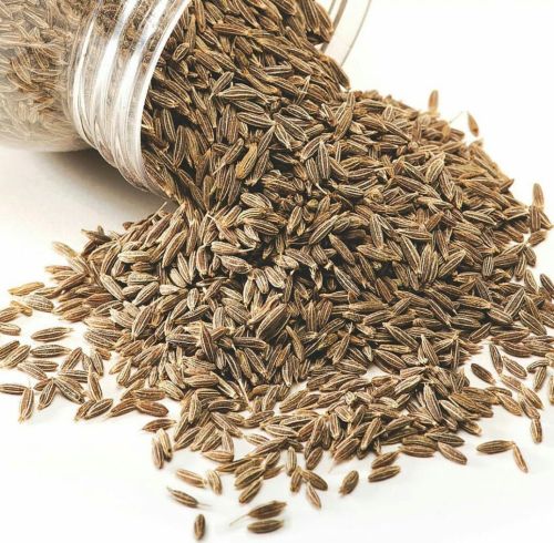 Brown Cumin Seeds, Packaging Type : Plastic Bag, Jar 9%