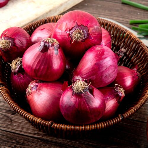 Organic Fresh Red Onion, Packaging Type : Mesh Bags