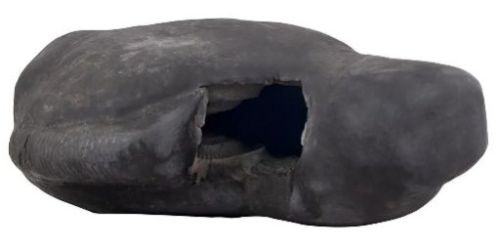 Achutam Madhavam Laxmi Narayana Shaligram Murti, Brand Name : Giri