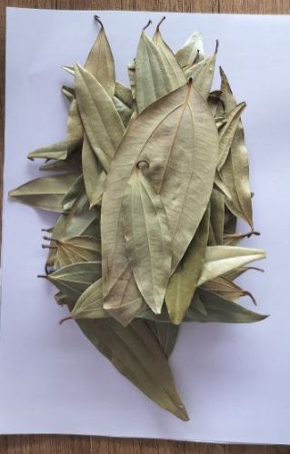 Hp non hp Natural Bay Leaf