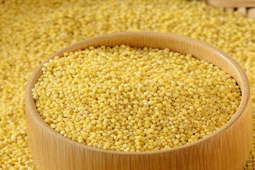 Indian Organic Foxtail Millet, Purity : 100% Natural