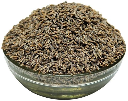 Uniform Machine Cleaned Cumin Seeds Low for Culinary Use