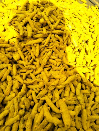 Natural Turmeric Finger, Packaging Size : 25Kg, 50Kg