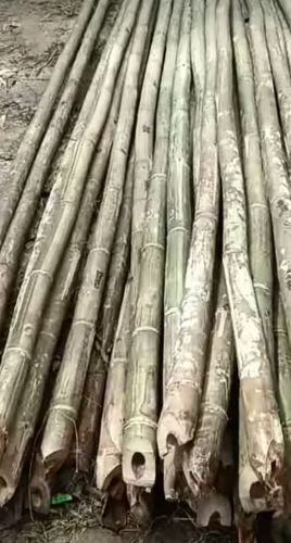 Bamboo Poles For Camping, Construction