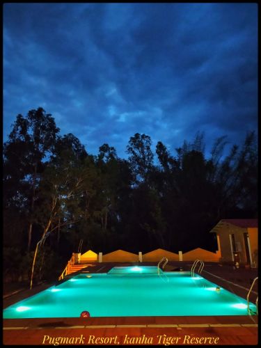 Concrete Printed Non Polished Swimming Pool, Color : Blue