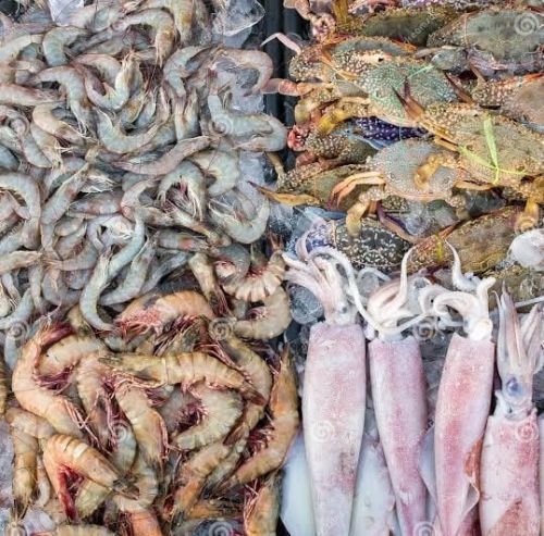 Prawns, Color : Creamy Fresh, Certification : Fda Certified